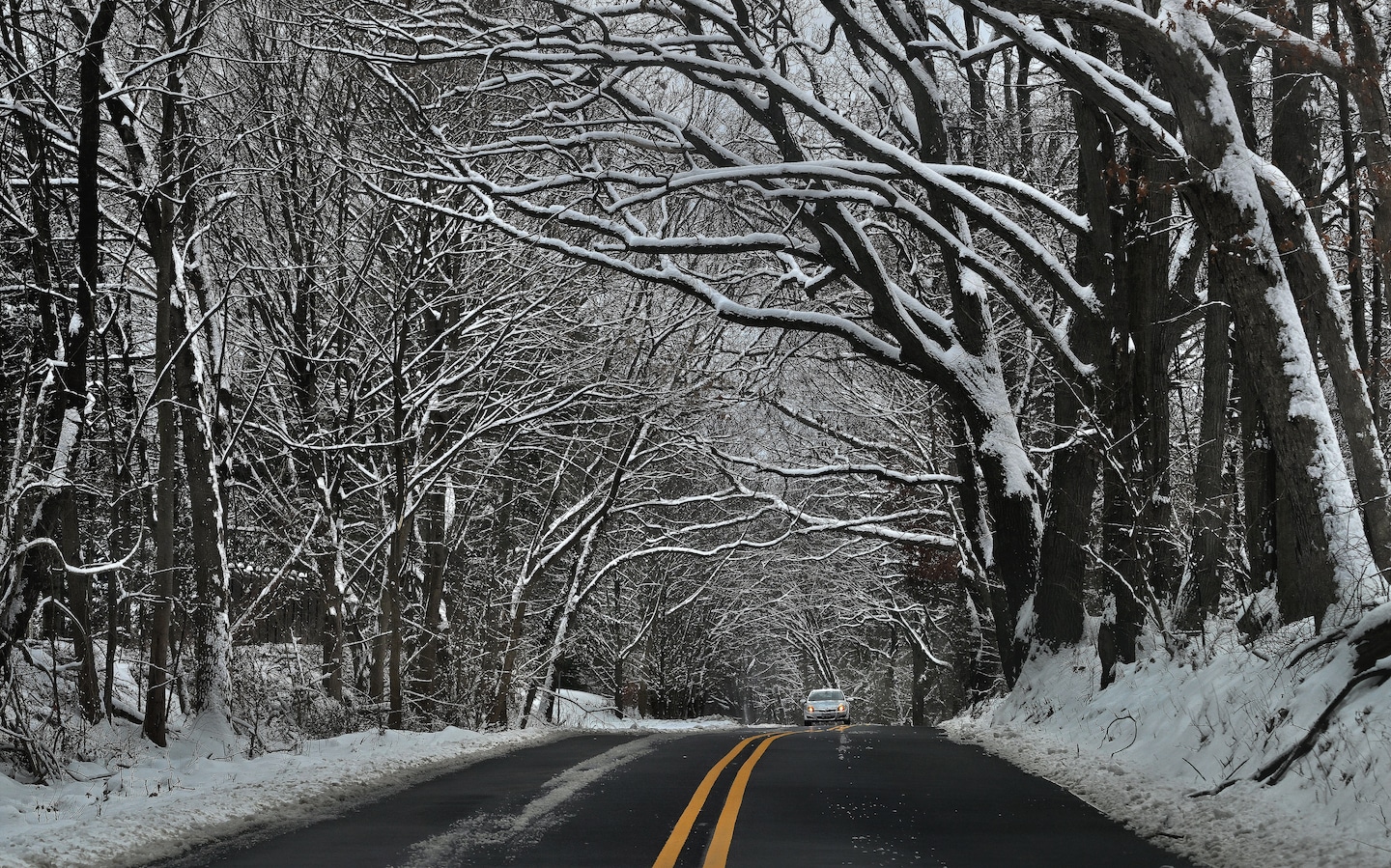 Featured image for Wintry Mix: Snow and Cold Weather Impact D.C. Area