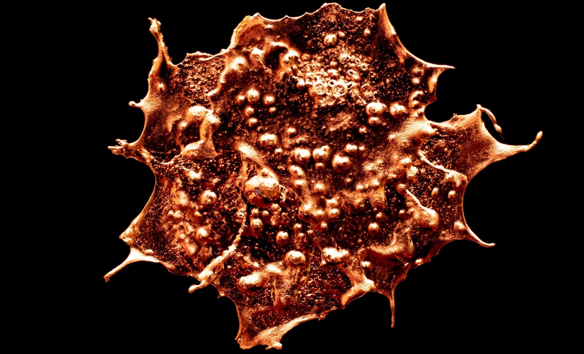 Featured image for Ancient Molten Blob Threatens New York After Tearing Continents Apart