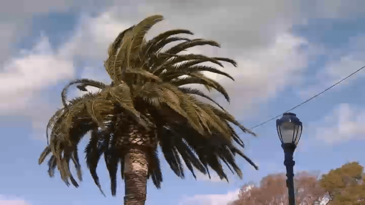 "Santa Ana Winds: Unrelenting Power and Widespread Impact in SoCal"