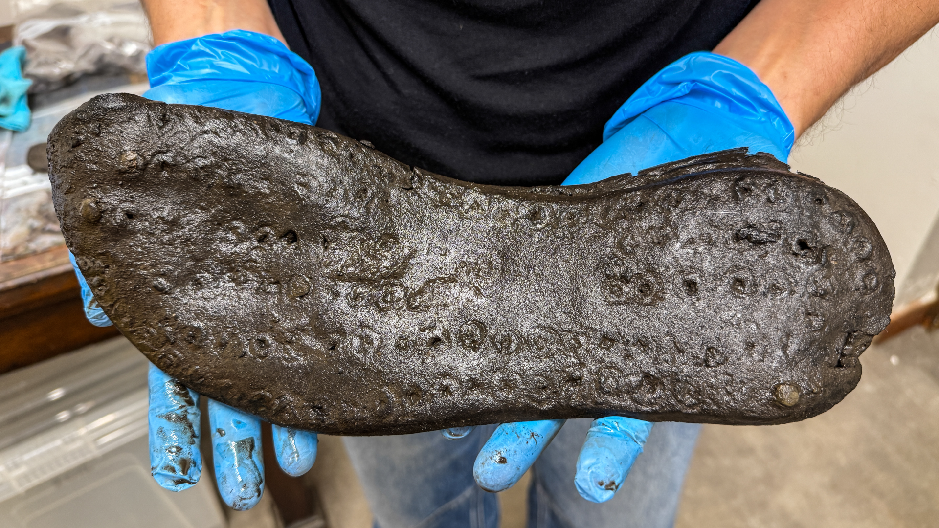 Featured image for Ancient Roman Shoes of Unusual Size Discovered Near Hadrian's Wall