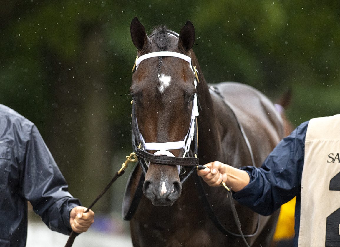 Featured image for Trainer Todd Pletcher and Forte disqualified from Hopeful due to positive drug test.