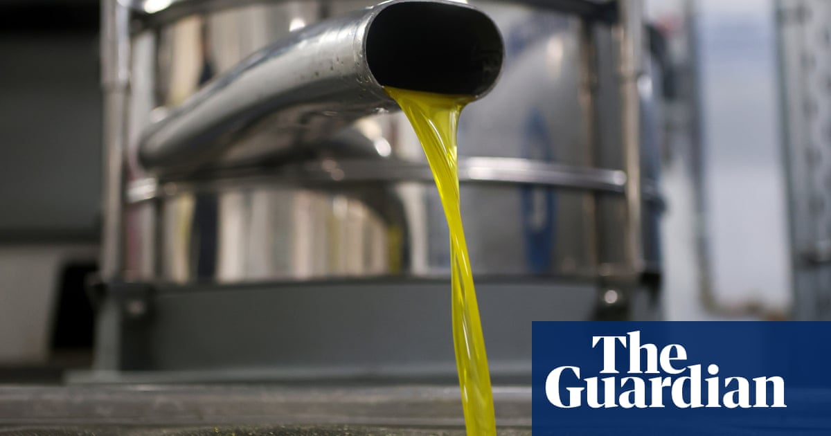 "Massive Olive Oil Seizure: Police Crack Down on Adulterated Products in Spain and Italy"