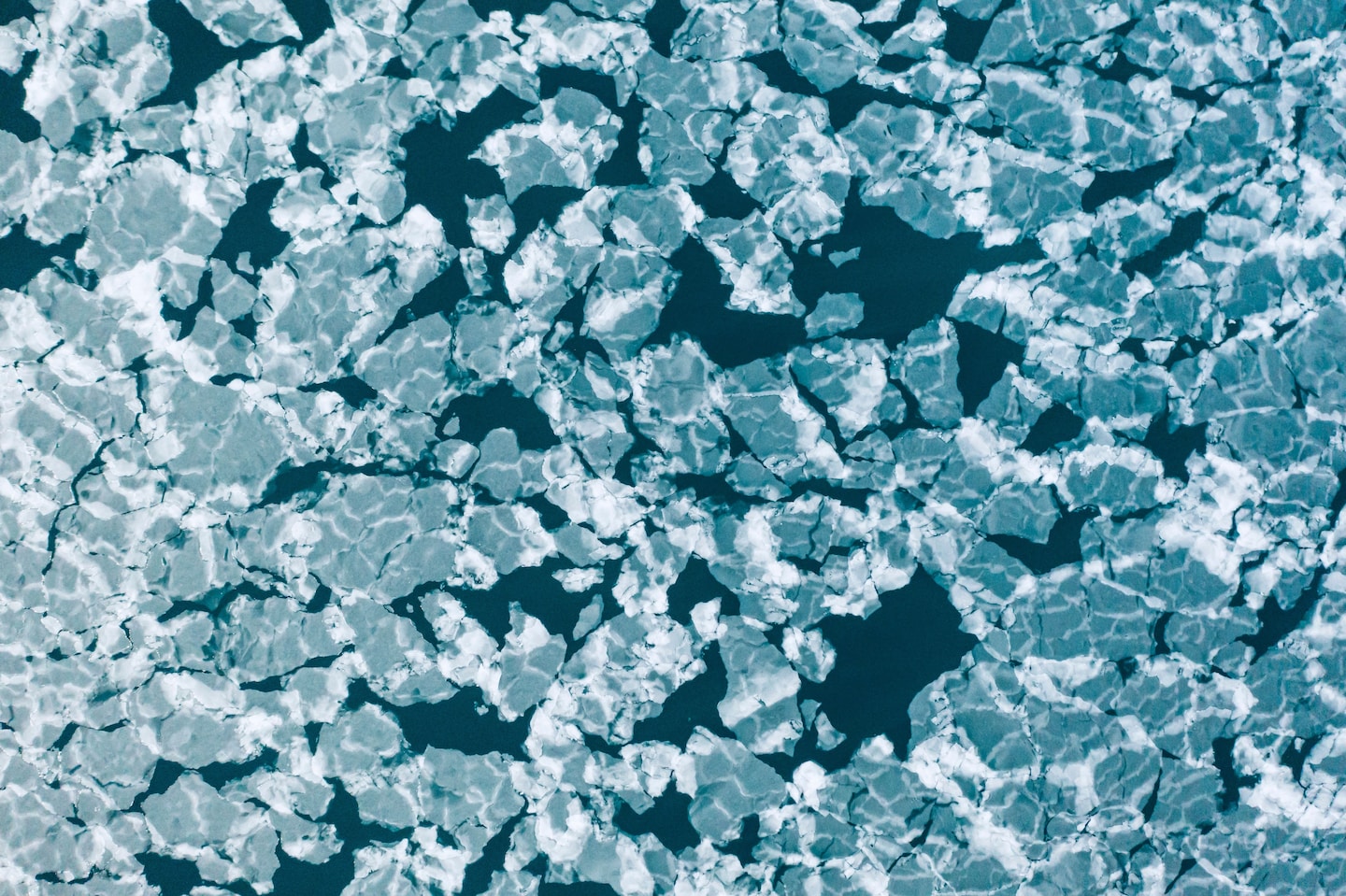 Study shows Arctic ice thinning is irreversible since 2007.