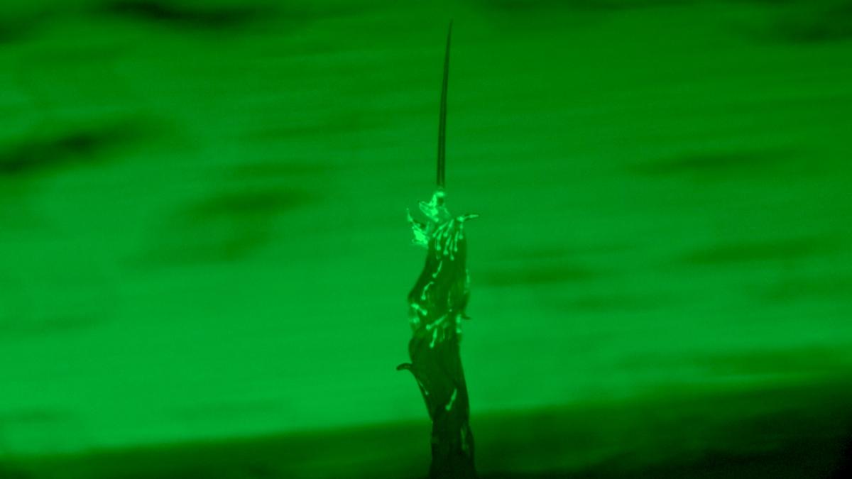 Featured image for Wild Worm Towers and Superorganisms: Nature's Tiny Architects