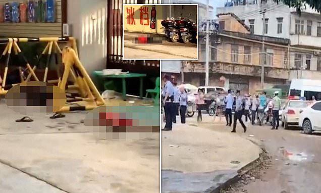 Spate of Deadly Knife Attacks at Chinese Kindergartens Leaves Six Dead
