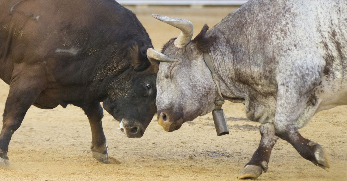 Featured image for Bitcoin Price Soars Above $30K Amidst ETF Optimism and Market Surge