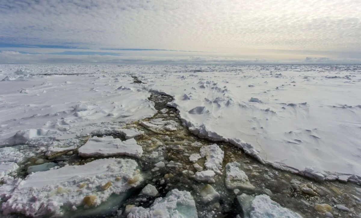 Antarctic Radio Anomaly Deepens Mystery as ANITA Signals Defy Explanation