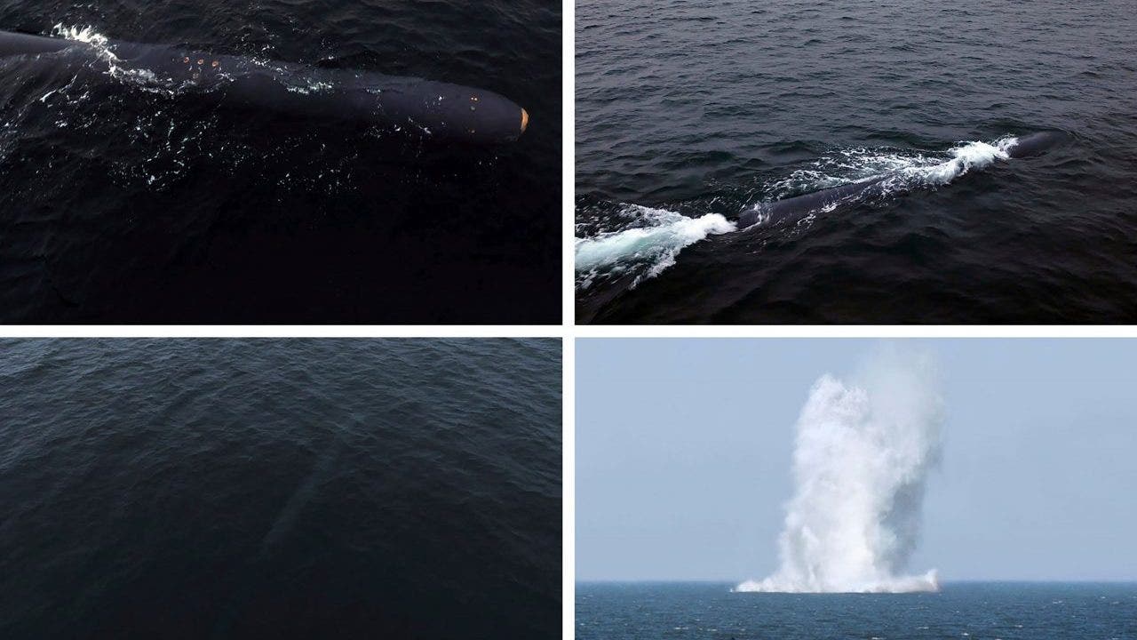Featured image for North Korea boasts successful test of nuclear-capable underwater drone.