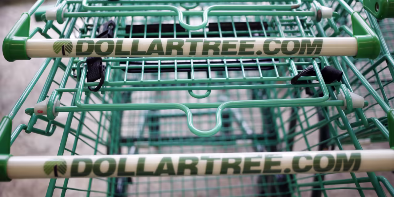 Dollar Tree's Stock Plummets on Profit Miss and Lowered Outlook.