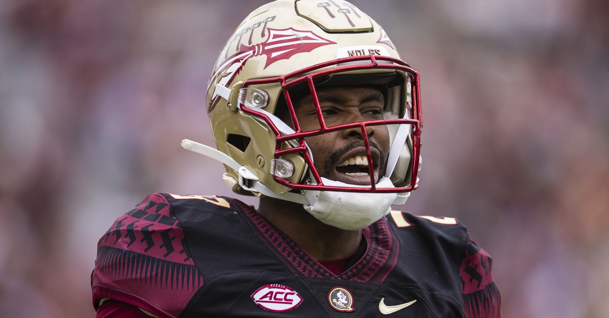 FSU linebacker Brendan Gant enters NCAA Transfer Portal.