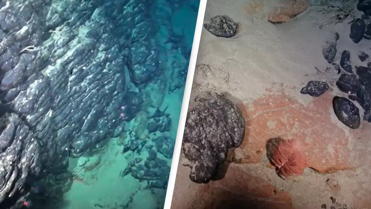 Featured image for "Debate Erupts Over Ownership of Rare Earth Mineral-Rich Sunken Island Off Brazil's Coast"