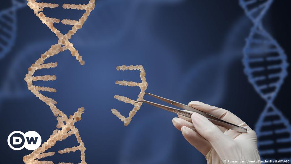 Featured image for "EU Considers Loosening Regulations on GM Crops to Address Climate Change and Food Shortages"