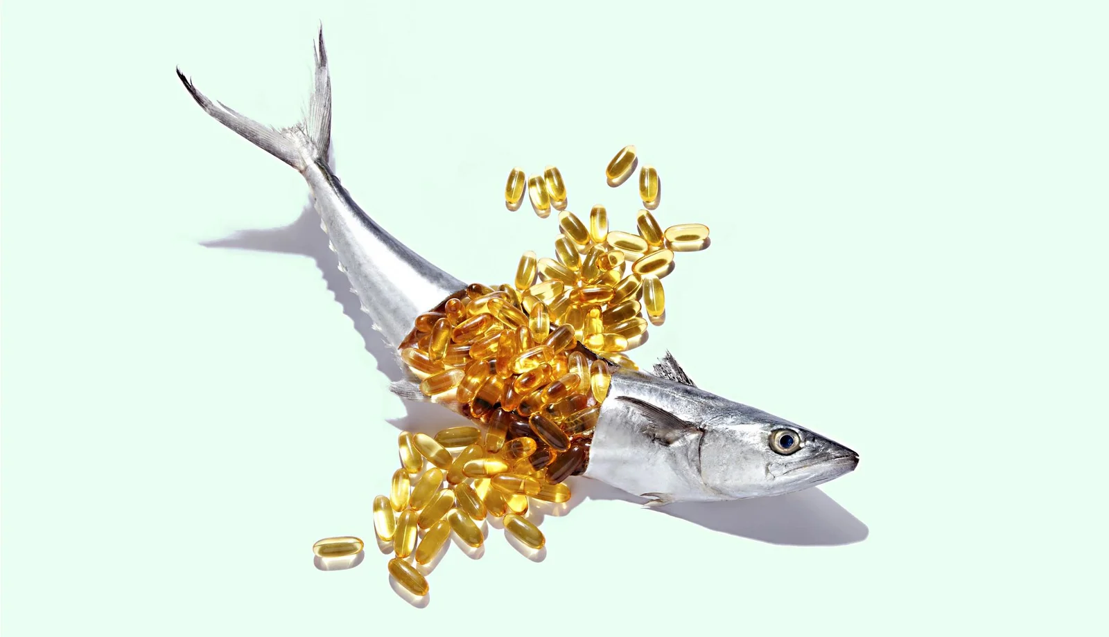 Is Fish Oil Supplementation Worth It?