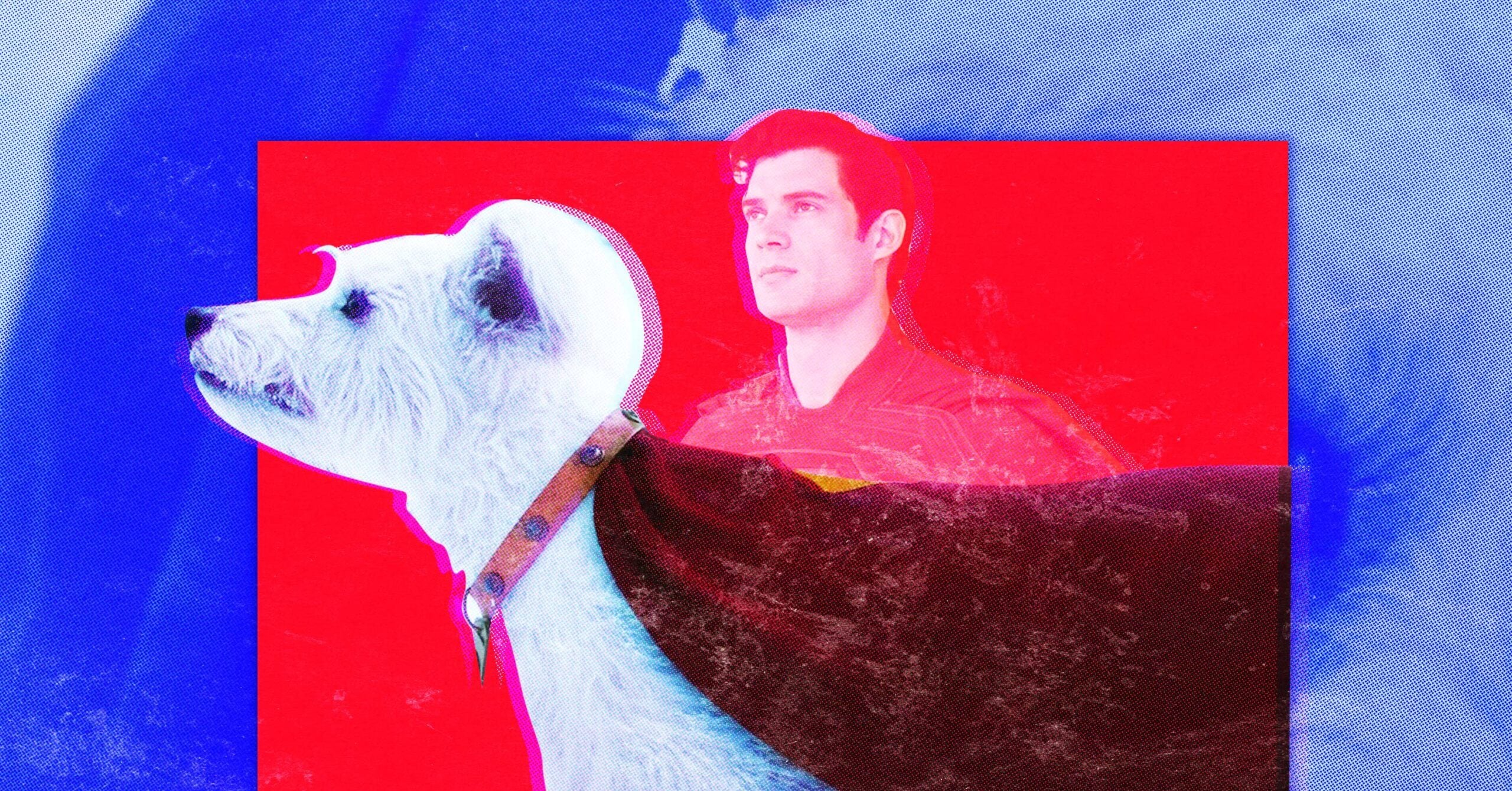 Featured image for Krypto the Superdog Sparks Surge in Dog Adoption and Superdog Celebrations