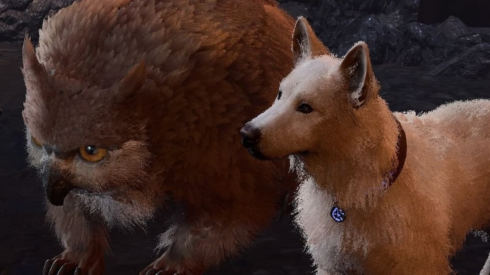"Baldur's Gate 3 Honor Mode Mishaps: The Perils of Pets and Companions"