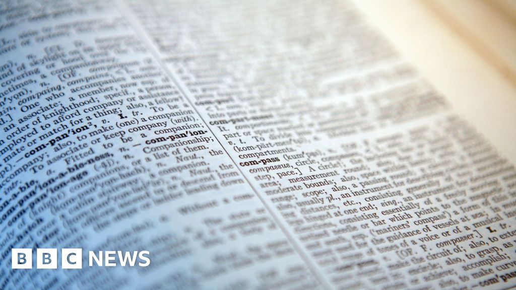 Featured image for Cambridge Dictionary Adds 'Skibidi', 'Tradwife', and Other Social Media Terms