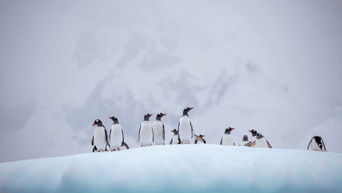 Unveiling the Hidden Secrets of Polar Ice