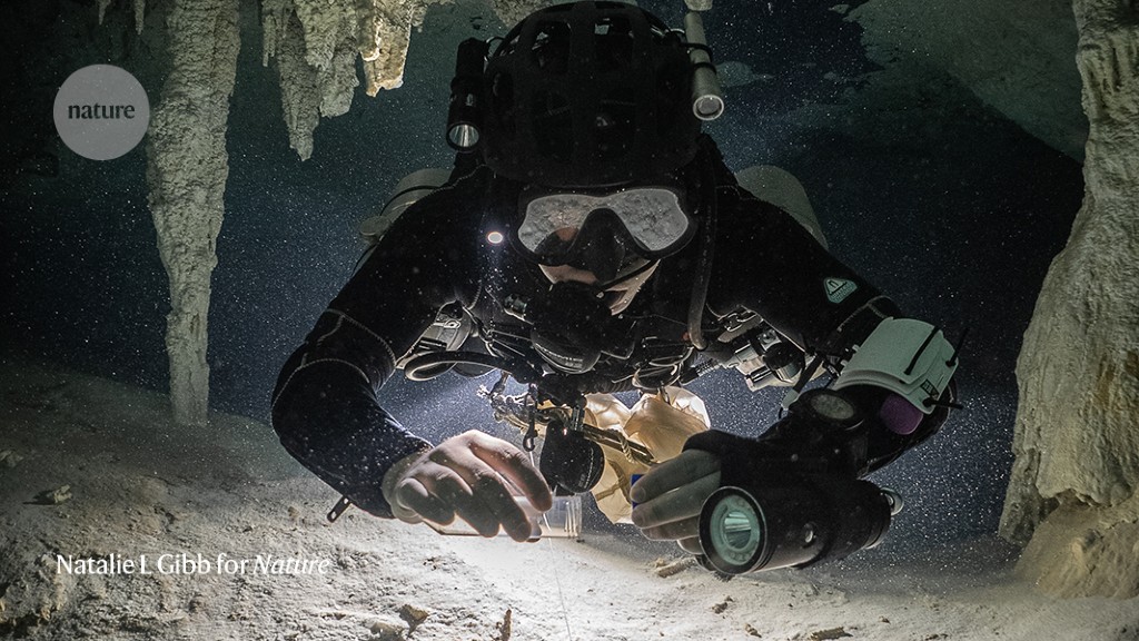Unveiling the Enigmatic Lifeforms of Submerged Caverns