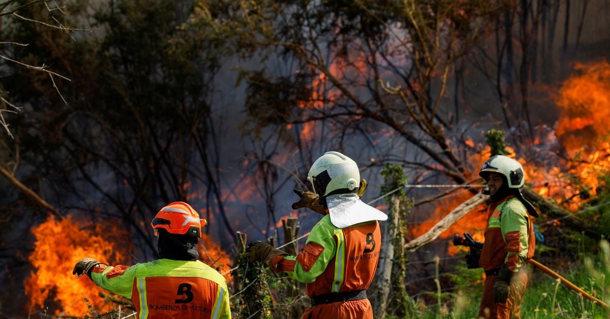 "Terrorist Arsonists Blamed for Devastating Fires in Spain's Asturias"