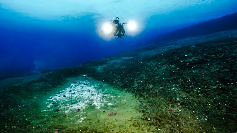 Scientists uncover alarming activity beneath Antarctic waters