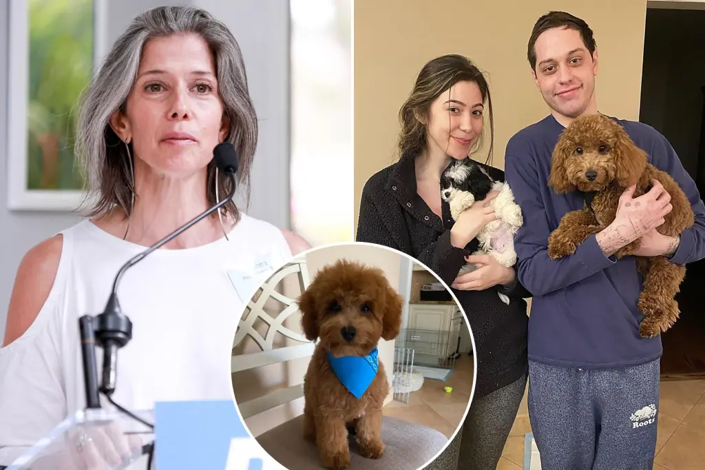 Featured image for Pete Davidson and PETA Clash Over Dog Ownership.