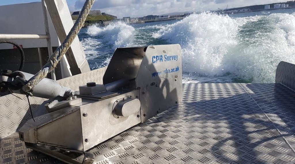 Featured image for "Bigelow Scientists Discover Rare Climate Resilience in Boothbay"