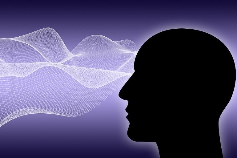Unpacking Threat Perception: Insights from the Brain's Sensory Network