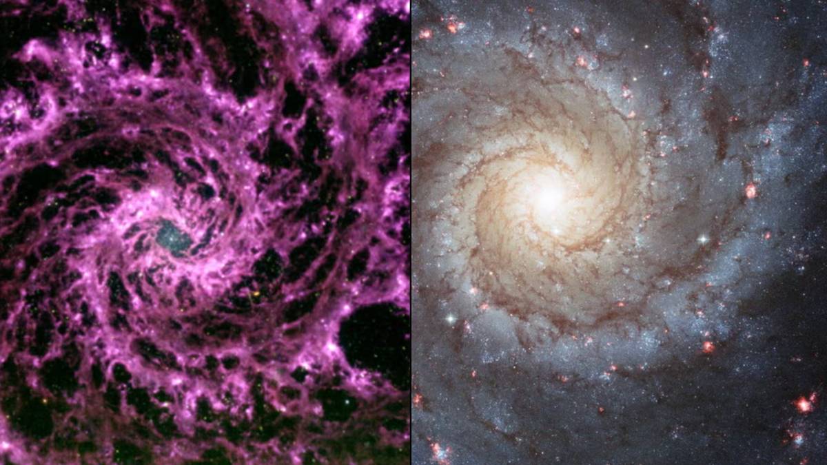"James Webb Telescope Spots Purple Galactic Swirl Resembling Multiverse Portal"