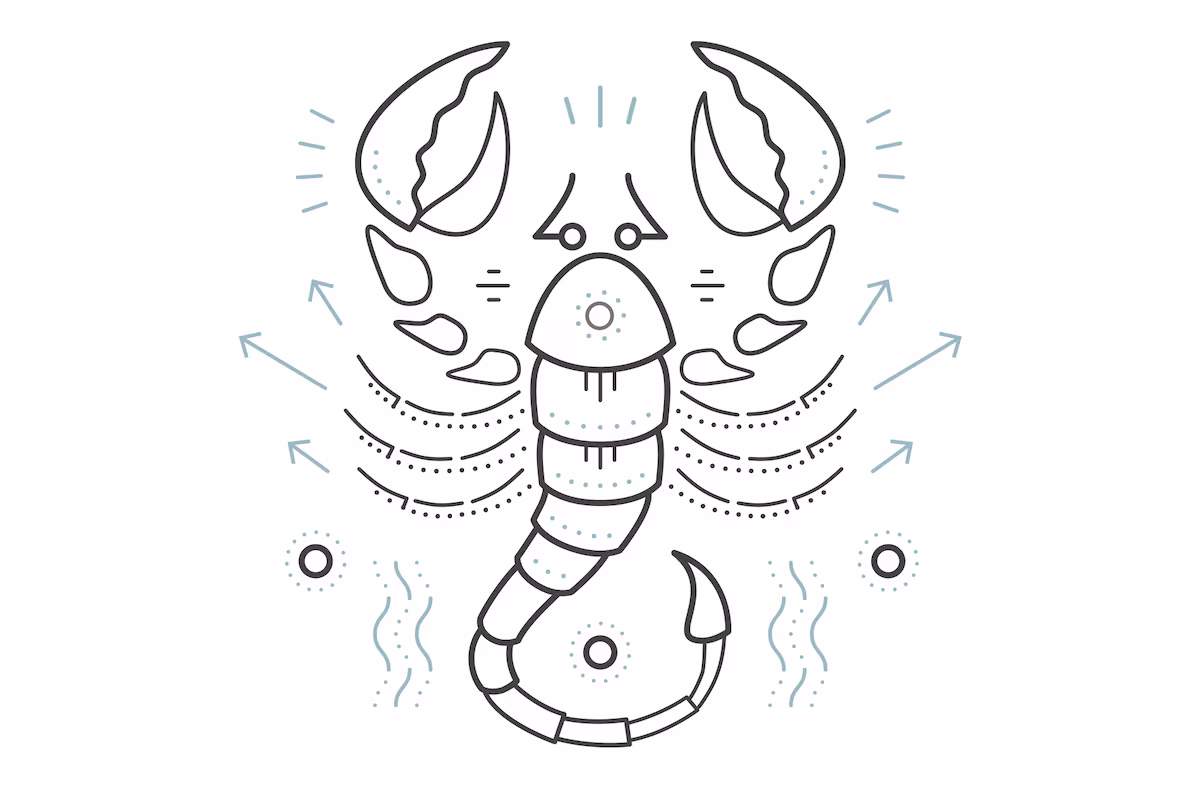 Daily Horoscope Insights for November 14, 2024