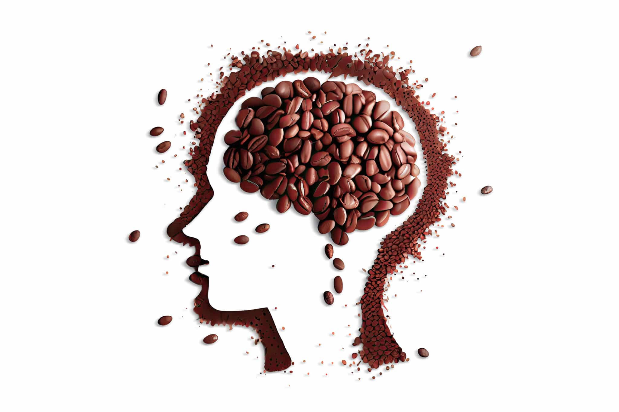 Featured image for Caffeine Alters Brain Activity and Sleep Recovery
