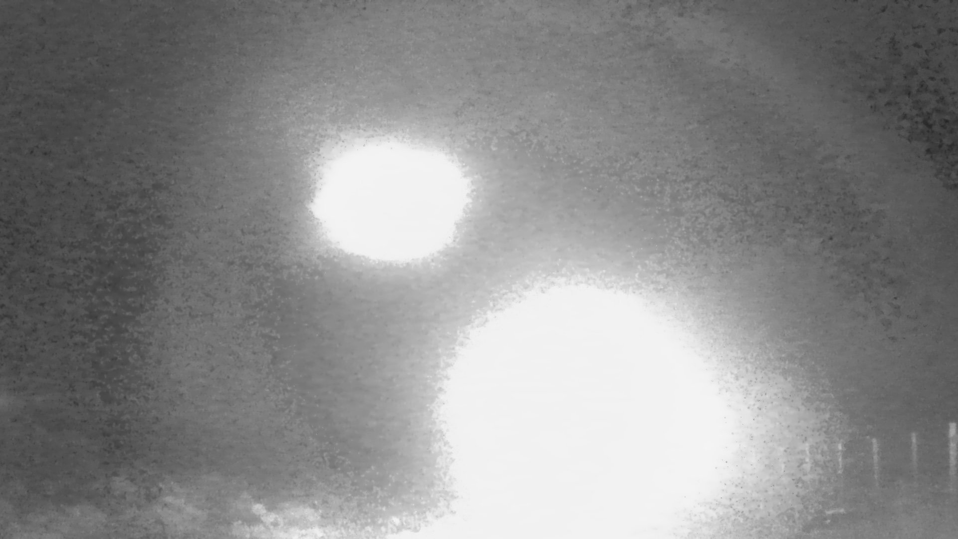 Featured image for Unexplained Lights Detected by Camera Trap in Chilean Wilderness