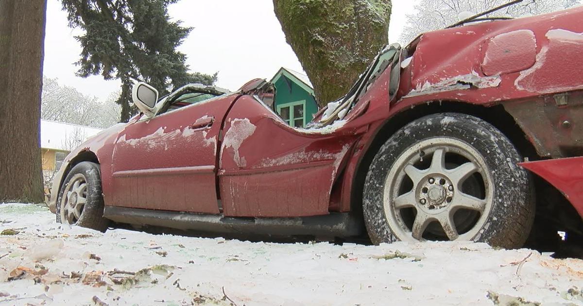 Featured image for "Oregon Winter Storm: Neighbors Clear Downed Trees, Road Closures Continue"