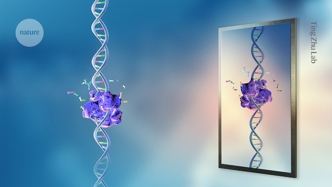 Featured image for Debate Intensifies Over Restrictions on Mirror Life Research Due to Biohazard Risks