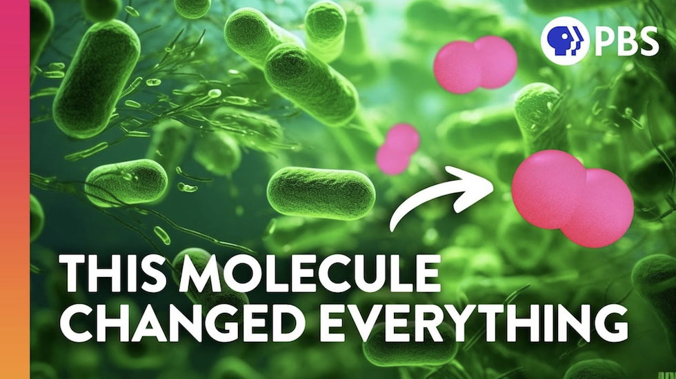 Featured image for The Thrilling Impact of a Deadly Element on Earth's History.