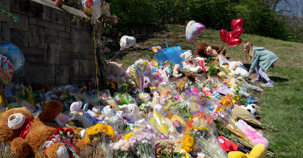 Partisan Politics Prevail Despite Outcry Over Gun Violence