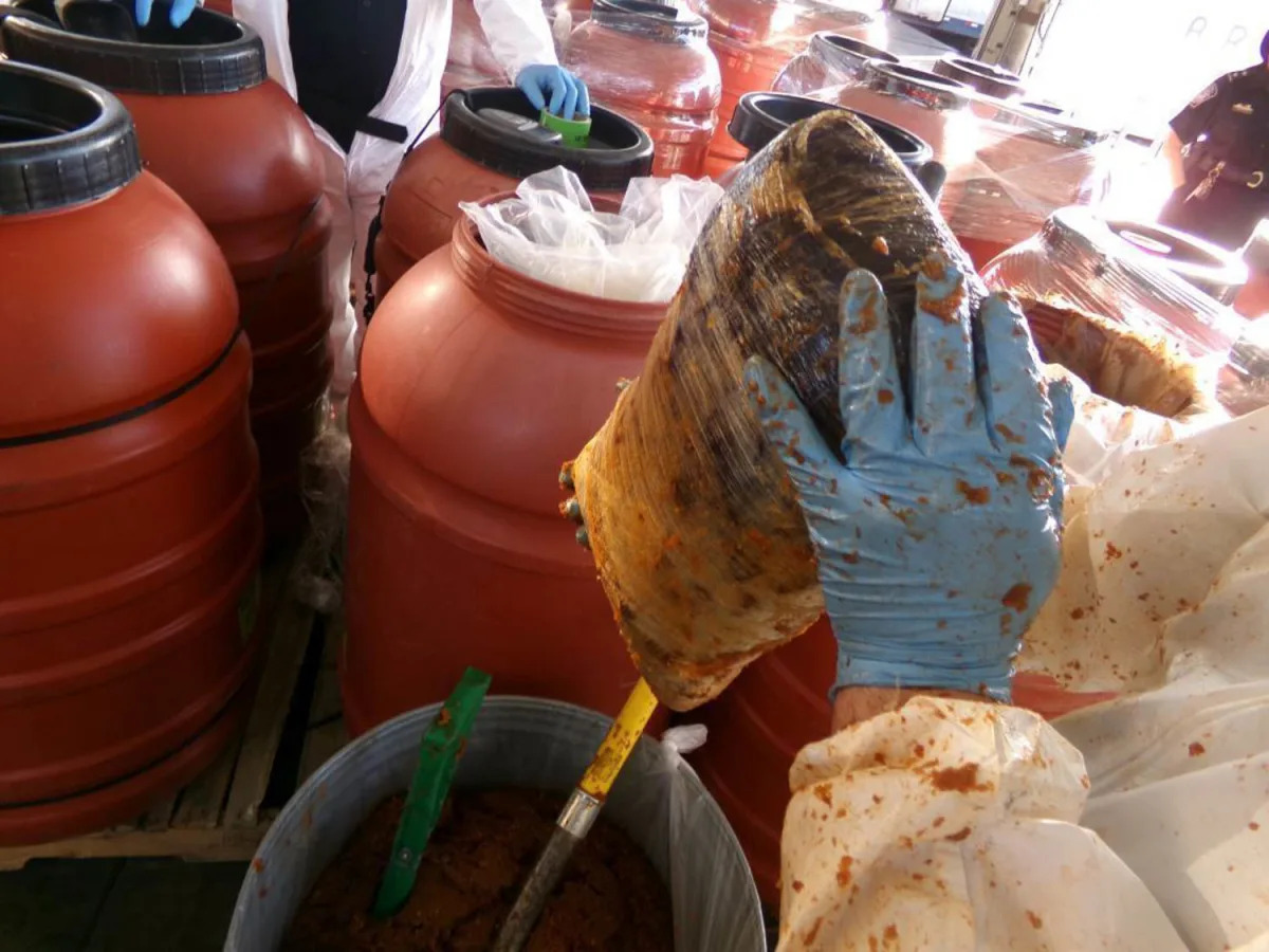 Massive Drug Bust: $10 Million Worth of Meth and Cocaine Disguised as Jalapeño Paste Seized in San Diego