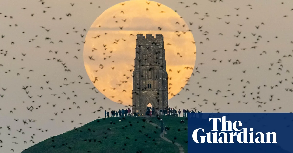 Catch the Last Supermoon of 2024 and Leonids Meteor Shower This Weekend