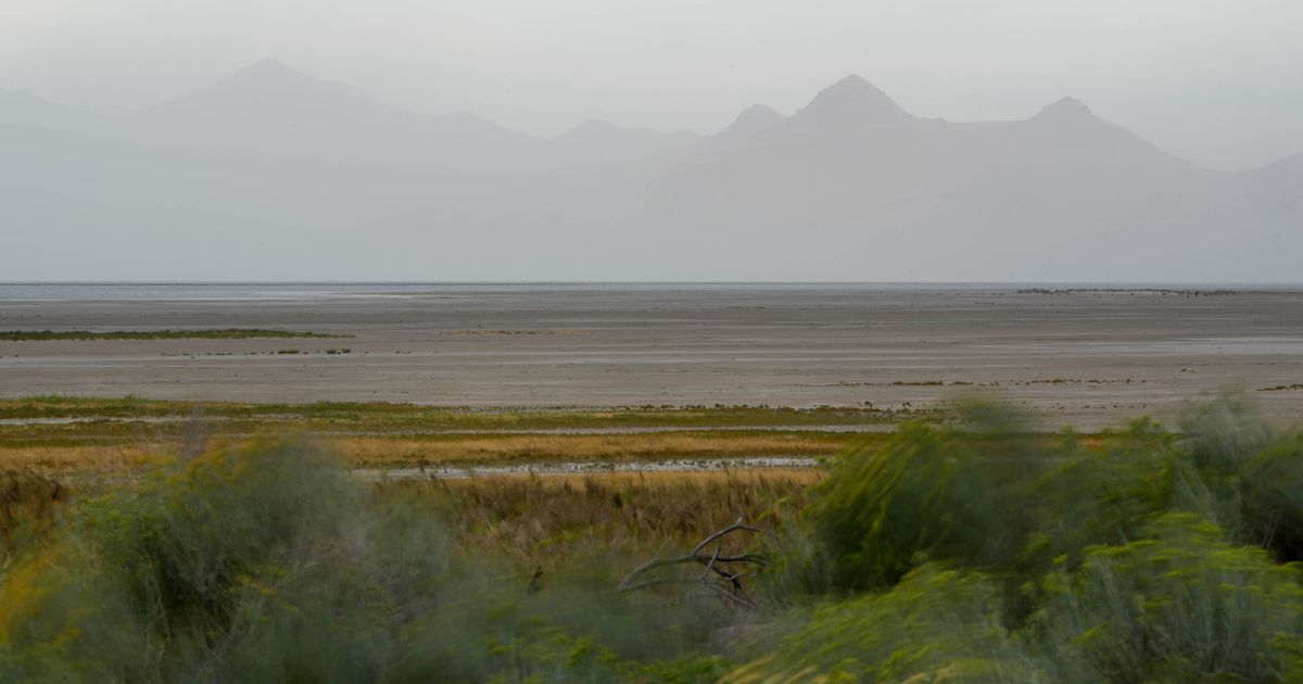 Lawsuits filed to protect Great Salt Lake using public trust doctrine