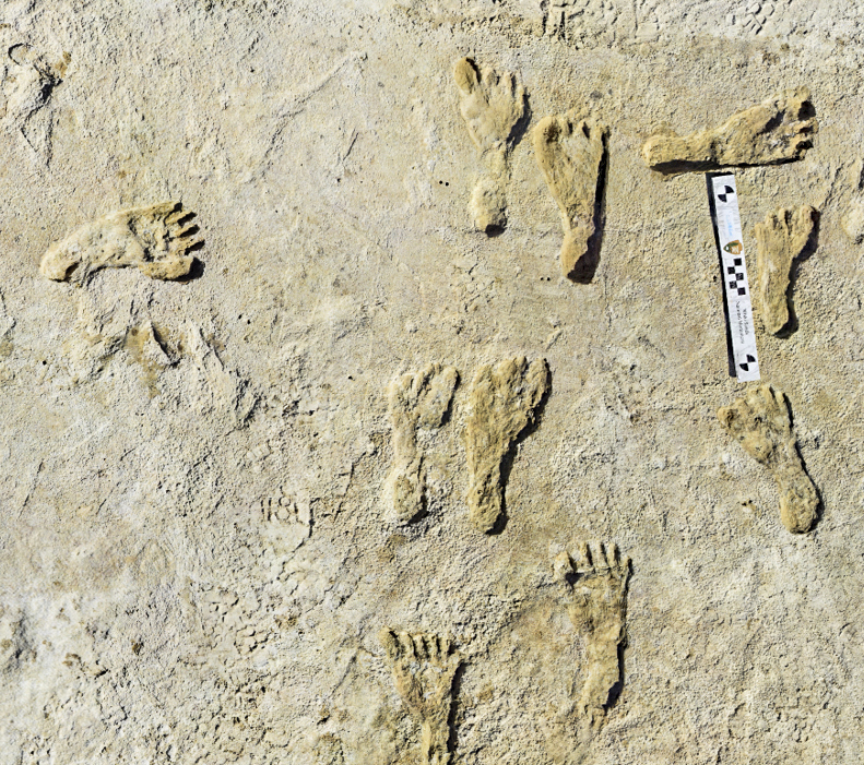 Featured image for "Groundbreaking Bay Area Study Confirms Ancient Origins of Ghostly Human Footprints"