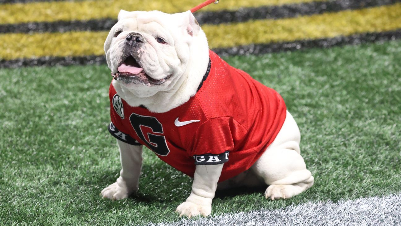 "Georgia Bulldogs Mourn the Loss of Uga X, Winningest Mascot in Football History"