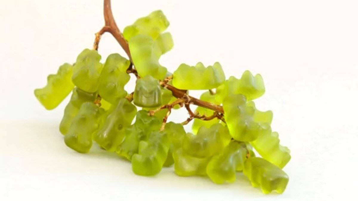 Featured image for "Optical Illusion Decodes Your Personality: Punctual and Organized or Free-Spirited?"