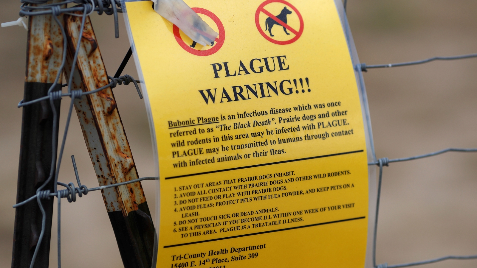 Featured image for Northern Arizona Resident Dies from Pneumonic Plague