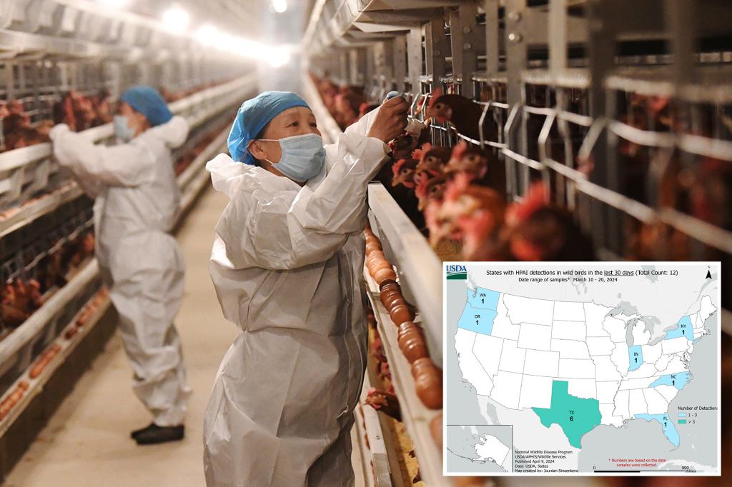 "Bird Flu Detected in NYC Parks: Health Experts Warn of Wildlife Interaction"