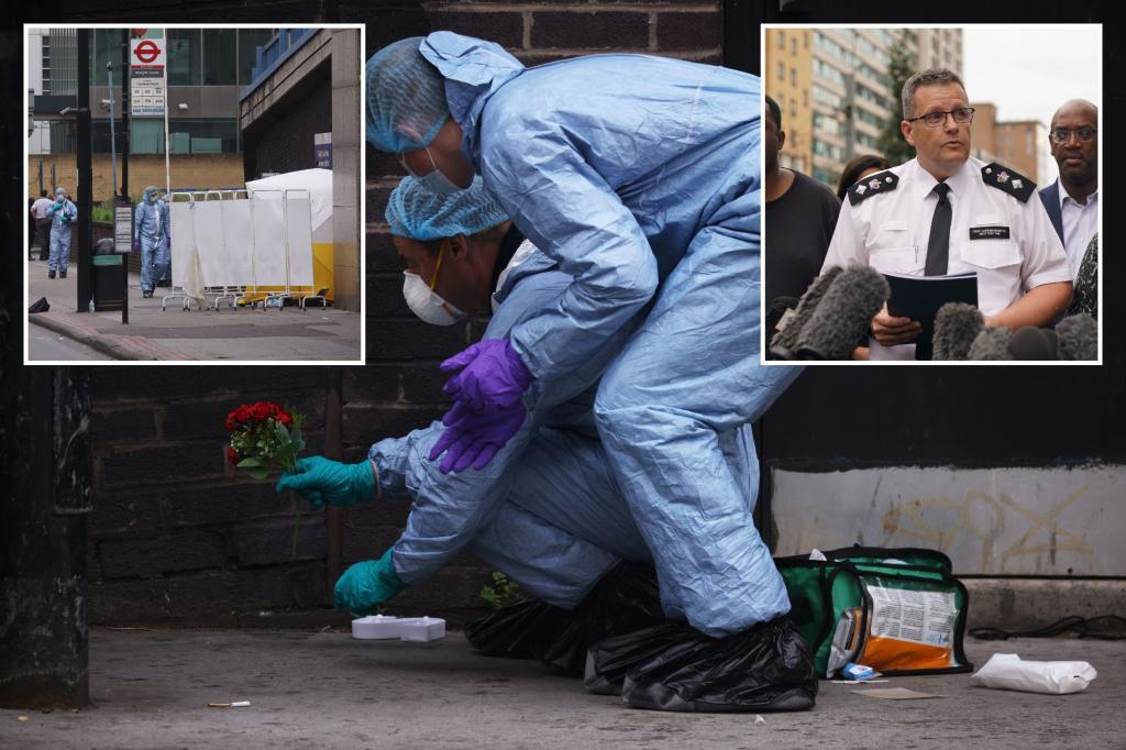 Teenage Girl Fatally Stabbed in Croydon After Rejecting Boy's Flowers