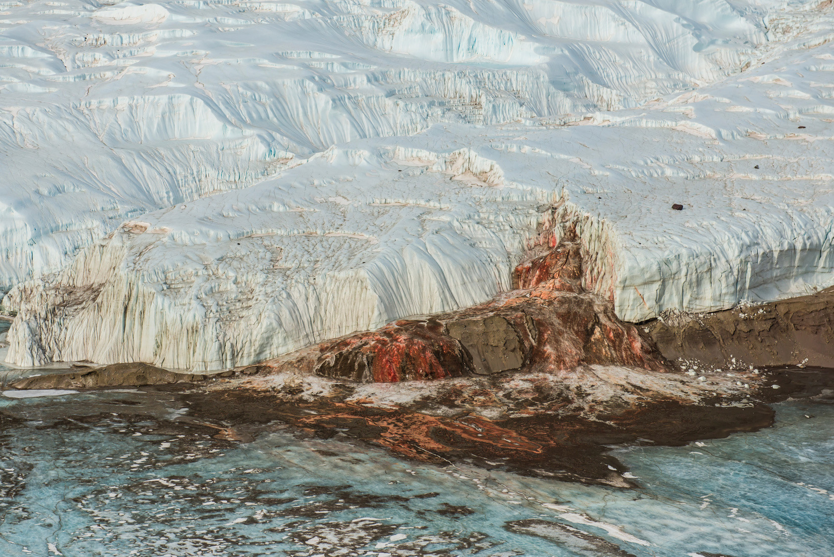 Featured image for Scientists Uncover the Enigma Behind Antarctica's Eerie 'Blood Falls'