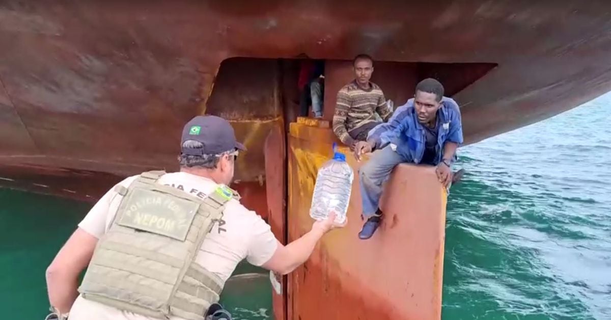 Nigerian Survivors: 14 Days on Ship's Rudder in Brazil