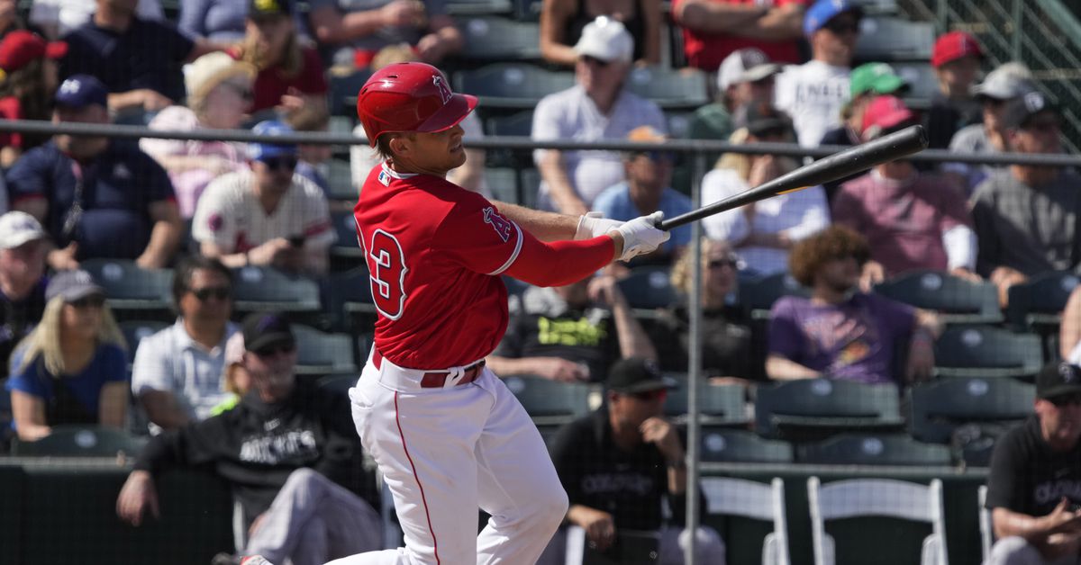 Featured image for Braves and White Sox Swap Catchers in Trade Deal