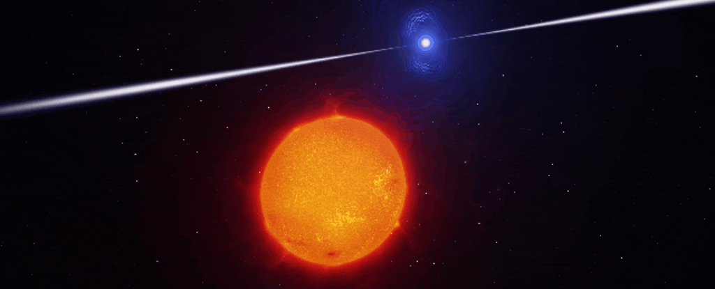 Rare White Dwarf Pulsars Discovered in Galaxy