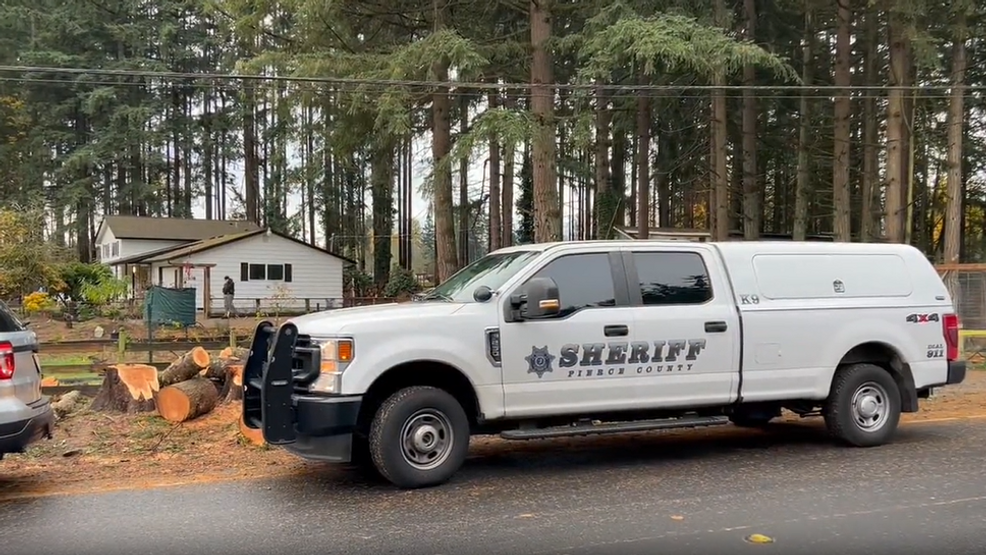 Featured image for Multiple People Injured in Shooting at House Party near Puyallup