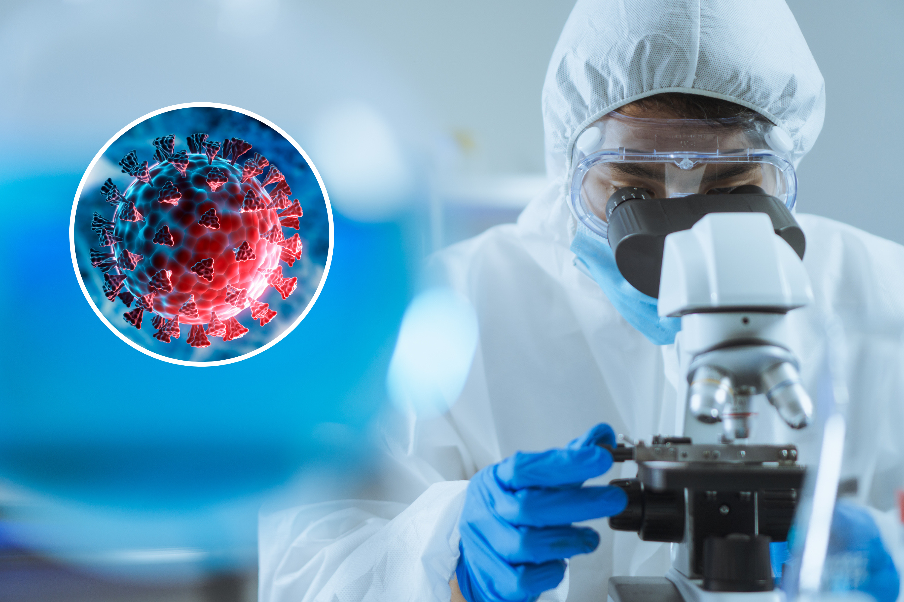 Featured image for "Statisticians Challenge COVID Market Origins Hypothesis"